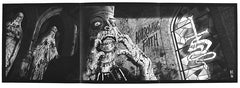 SHED THE SKIN - Harrowing Faith (12" Gatefold LP on Black Vinyl w/ Poster)